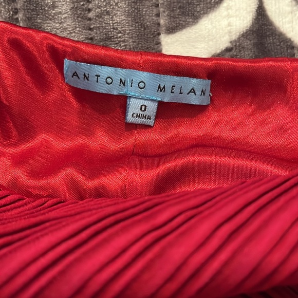 Antonio Melani lined red skirt size 0 - Picture 3 of 3